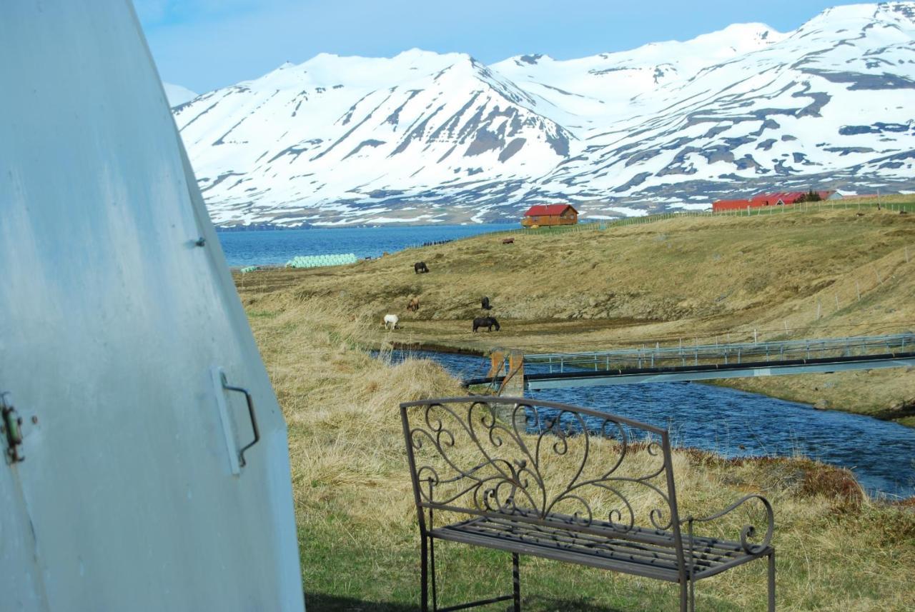Sky Sighting Igluhus - Stay'In Arbakki Arskogssandur Экстерьер фото
